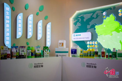 解碼湖南合成生物制造的創新密碼 從產業布局到企業實踐的觀察