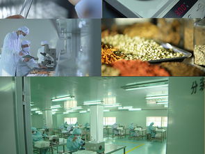 生物科技前沿探索 從微觀機(jī)理到宏觀應(yīng)用的科研高清圖景