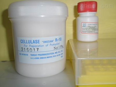 2-脫氧-D-核糖 信然生物科技的專業(yè)合成與應(yīng)用